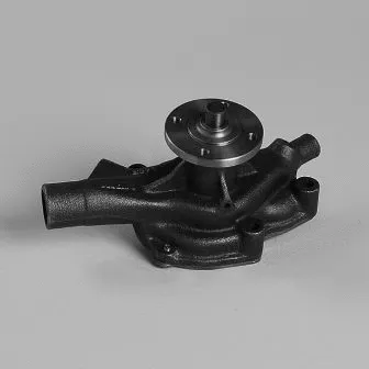Pompe à eau, refroidissement du moteur GK 987926