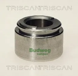 Piston, étrier de frein TRISCAN 8170 234211
