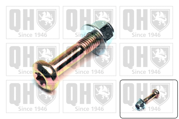 Vis de serrage, suspension articulée/rotule de suspension QUINTON HAZELL QSK225S