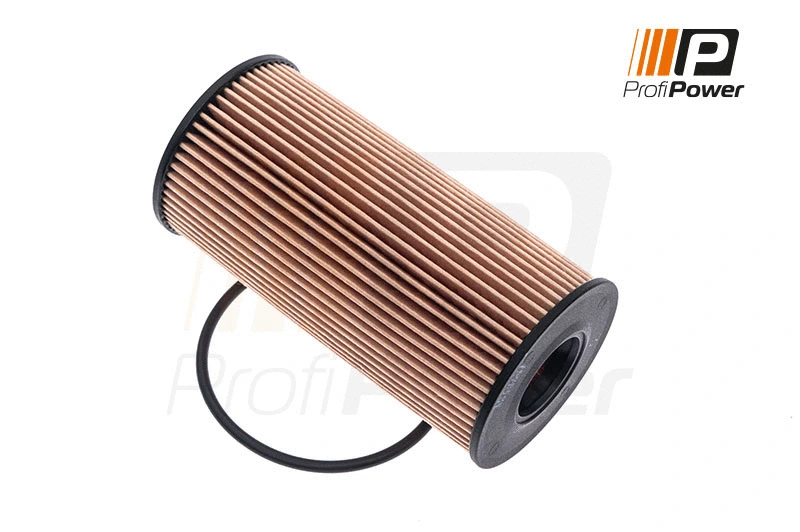Filtre à huile ProfiPower 1F0021