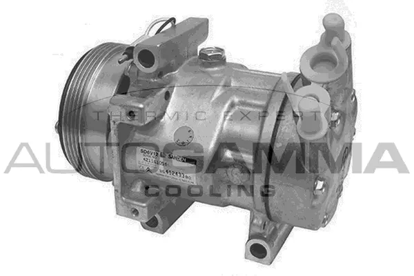 Compresseur, climatisation AUTOGAMMA 108128