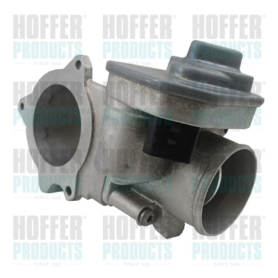 Corps papillon HOFFER 7519234R