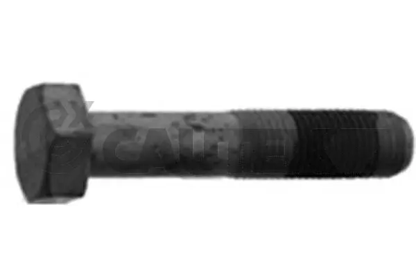 Vis de poulie CAUTEX 757043