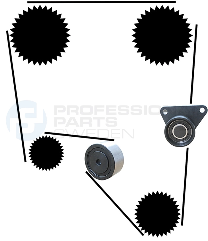 Kit de courroie crantée Professional Parts 21430014