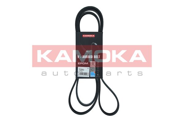 Courroie trapézoïdale à nervures KAMOKA 7016201