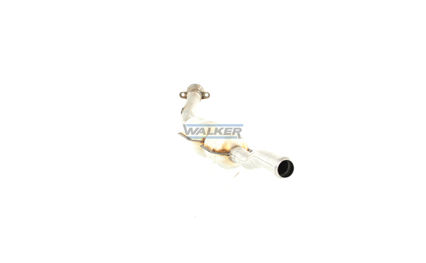 Catalyseur WALKER 20138