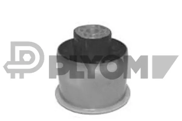 Suspension, corps de l'essieu PLYOM P755682