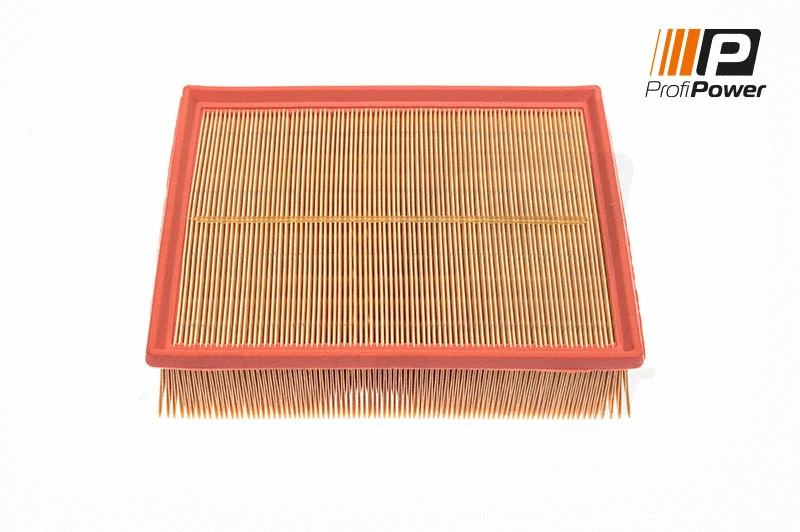 Filtre à air ProfiPower 2F0007