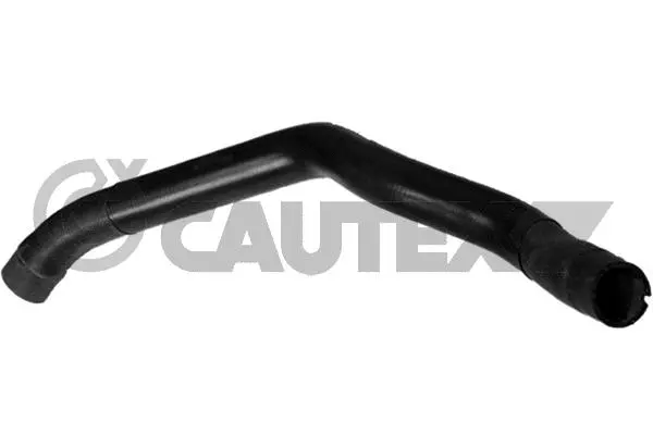 Durite de radiateur CAUTEX 770479