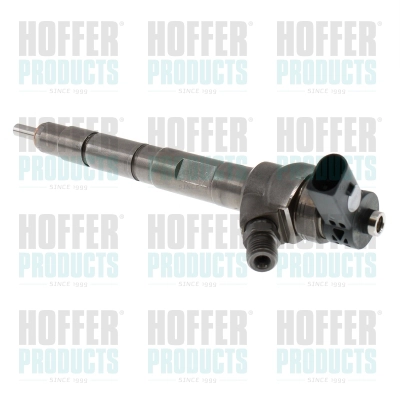 Injecteur HOFFER H74299R