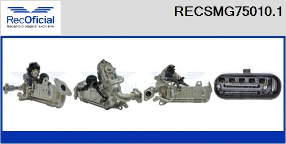 Module-EGR RECOFICIAL RECSMG75010.1