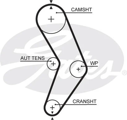 Courroie crantée TRISCAN 8645 5662XS