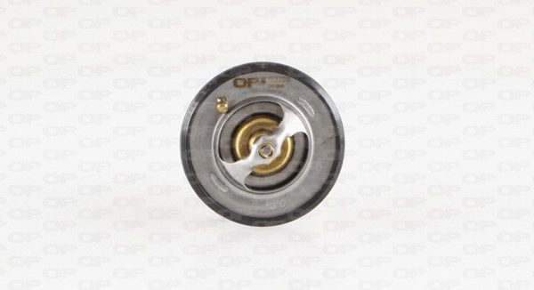 Thermostat, liquide de refroidissement OPEN PARTS TRM1007.00