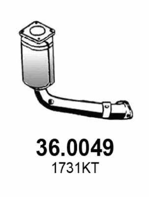 Catalyseur ASSO 36.0049