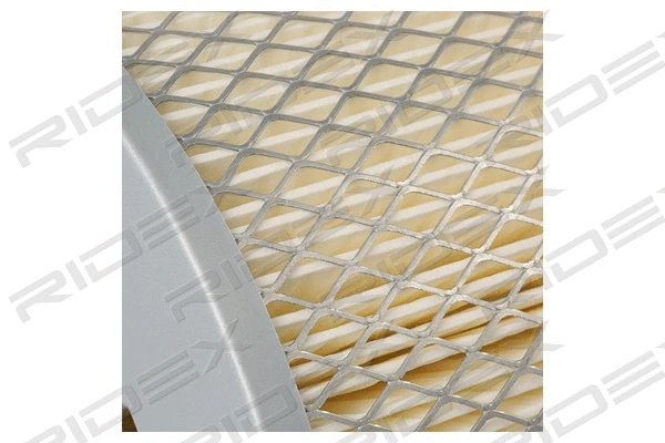 Filtre à air RIDEX 8A0130