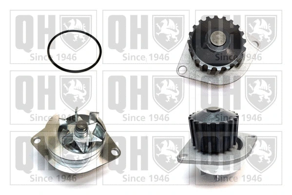 Pompe à eau, refroidissement du moteur QUINTON HAZELL QCP3165
