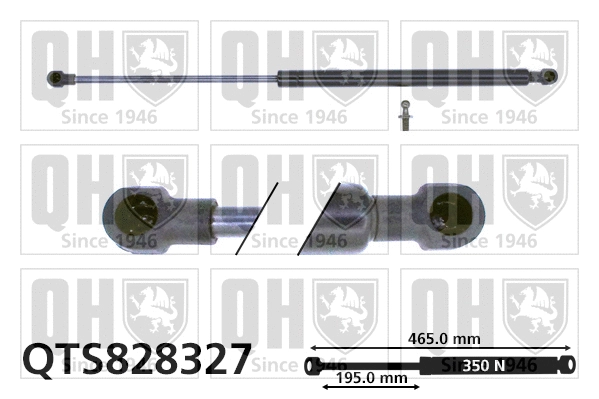 Vérin de hayon, de coffre QUINTON HAZELL QTS828327