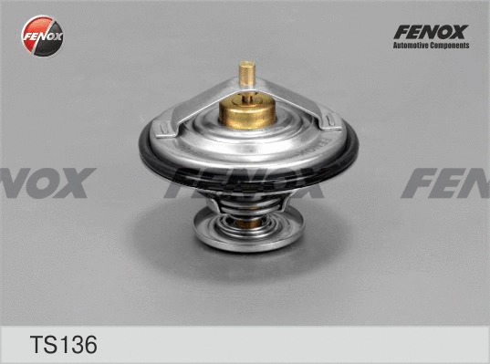 Thermostat, liquide de refroidissement FENOX TS136