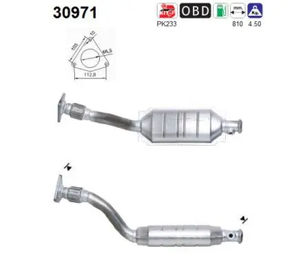 Catalyseur AS 30971
