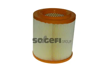 Filtre à air FRAM CA10421