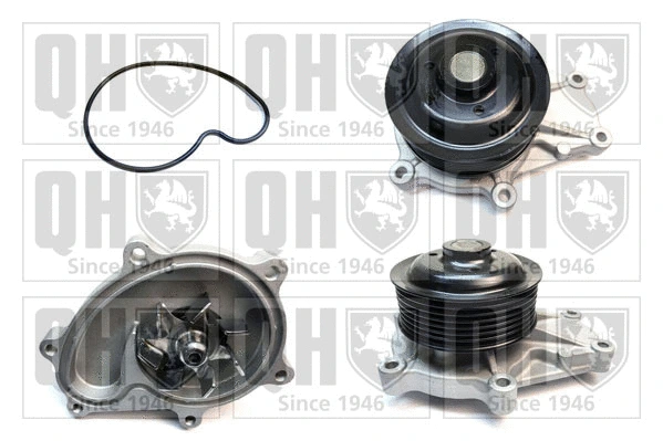 Pompe à eau, refroidissement du moteur QUINTON HAZELL QCP3798