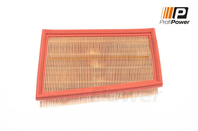 Filtre à air ProfiPower 2F0052