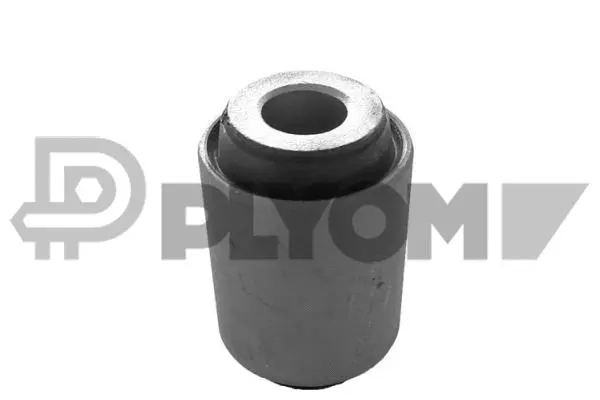 Suspension, corps de l'essieu PLYOM P759529