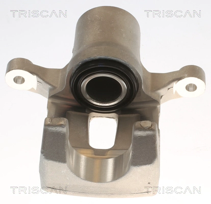 Étrier de frein TRISCAN 8175 43211