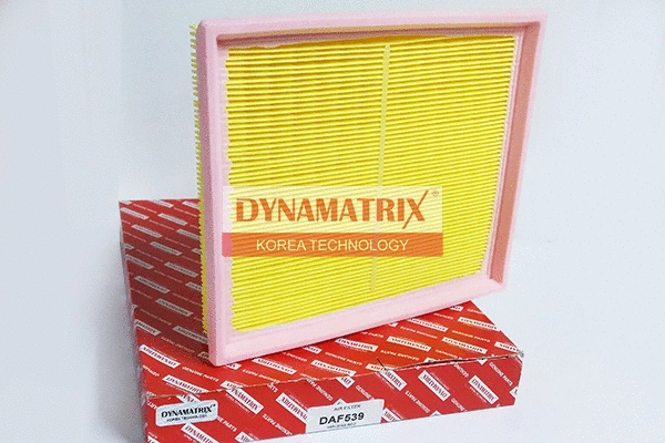 Filtre à air DYNAMATRIX DAF539