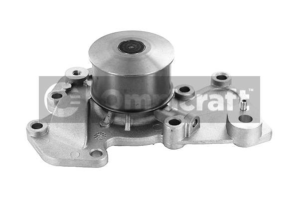 Pompe à eau, refroidissement du moteur Omnicraft 2317366