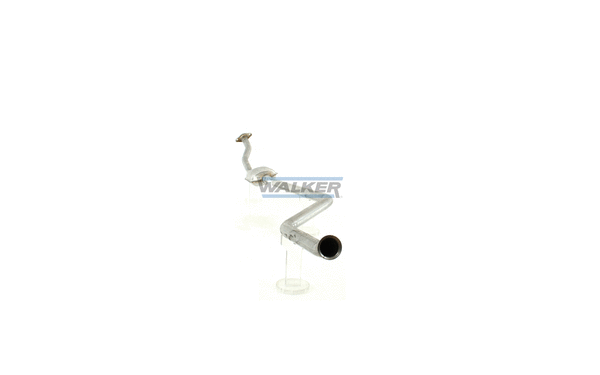 Catalyseur WALKER 20314