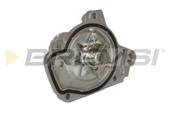Pompe à eau, refroidissement du moteur BREMSI WP0012