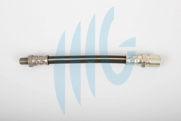 Flexible de frein RICAMBIFLEX GM 02120095
