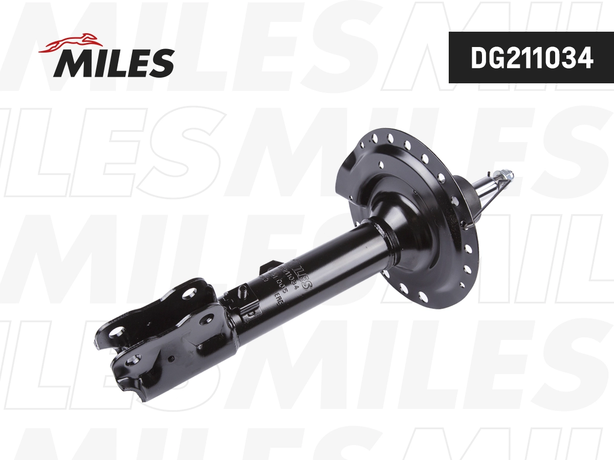 Amortisseur MILES DG211034