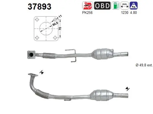 Catalyseur AS 37893