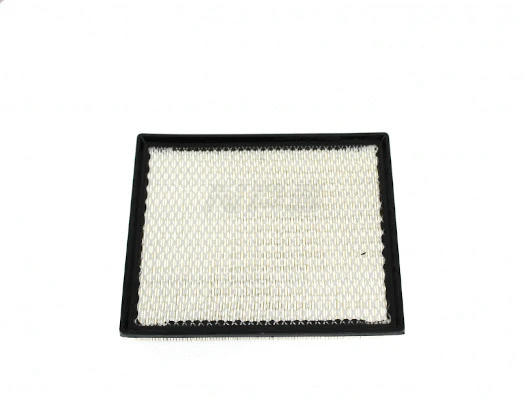 Filtre à air NPS N132N68