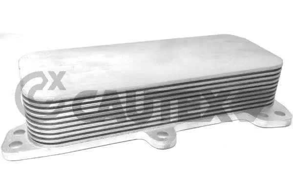 Radiateur d'huile CAUTEX 462517