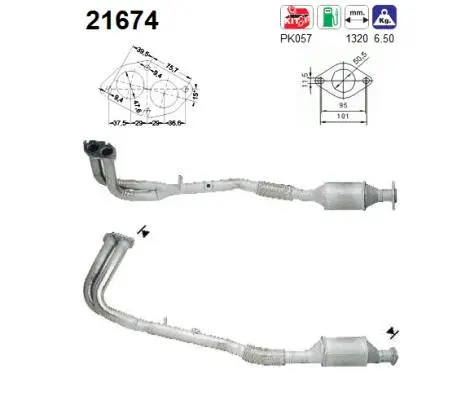Catalyseur AS 21674