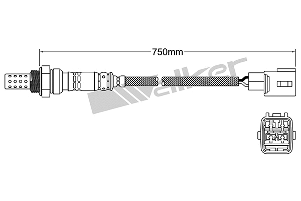Sonde lambda VEGAZ GmbH DLS-128
