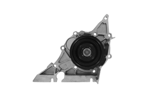 Pompe à eau, refroidissement du moteur SKF Brazil VKPC 81802