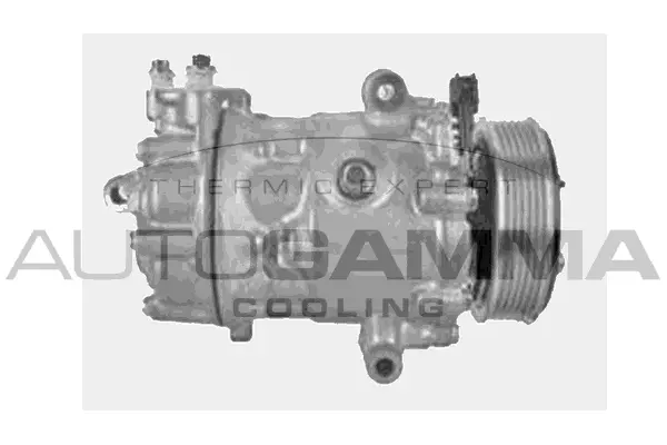 Compresseur, climatisation AUTOGAMMA 118609