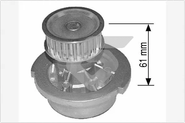 Pompe à eau, refroidissement du moteur HUTCHINSON WP19
