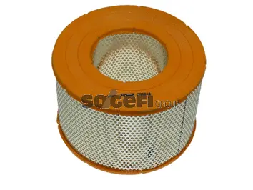 Filtre à air FRAM CA4818
