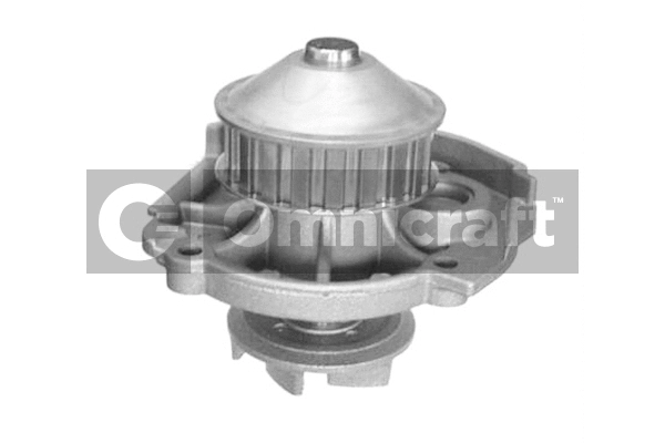 Pompe à eau, refroidissement du moteur Omnicraft 2316930