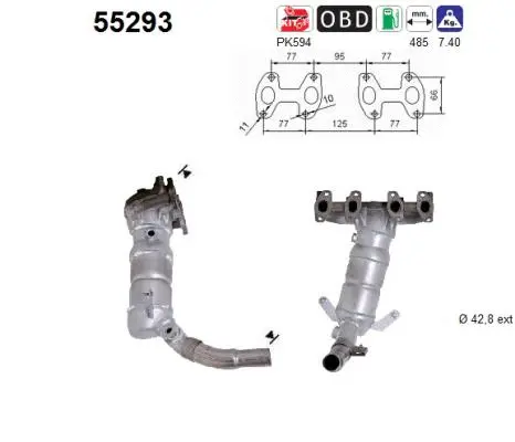 Catalyseur AS 55293