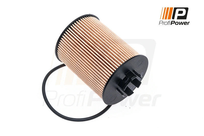 Filtre à huile ProfiPower 1F0020