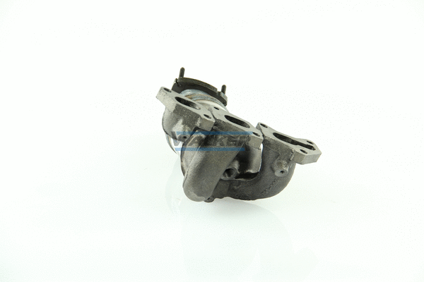 Catalyseur WALKER 20620