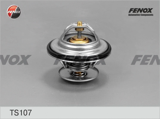 Thermostat, liquide de refroidissement FENOX TS107