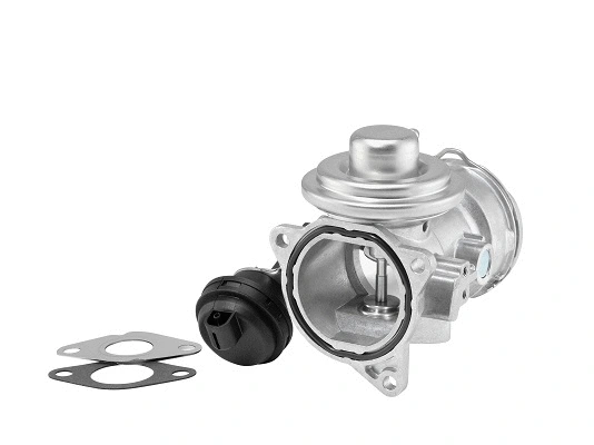 Vanne EGR BorgWarner 7372D