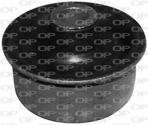 Suspension, bras de liaison OPEN PARTS SSS1044.11